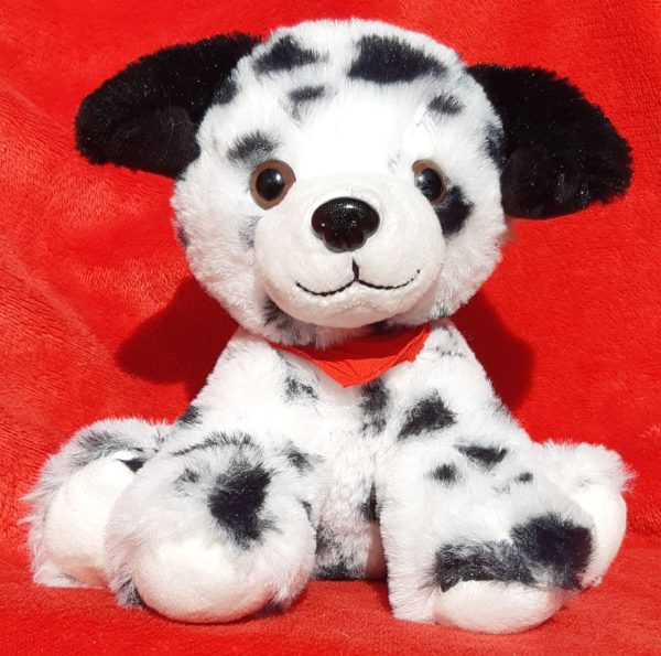 Fire Station Dalmatian Puppy